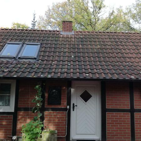 Ferienhaus In Rumke Bippen Exterior photo