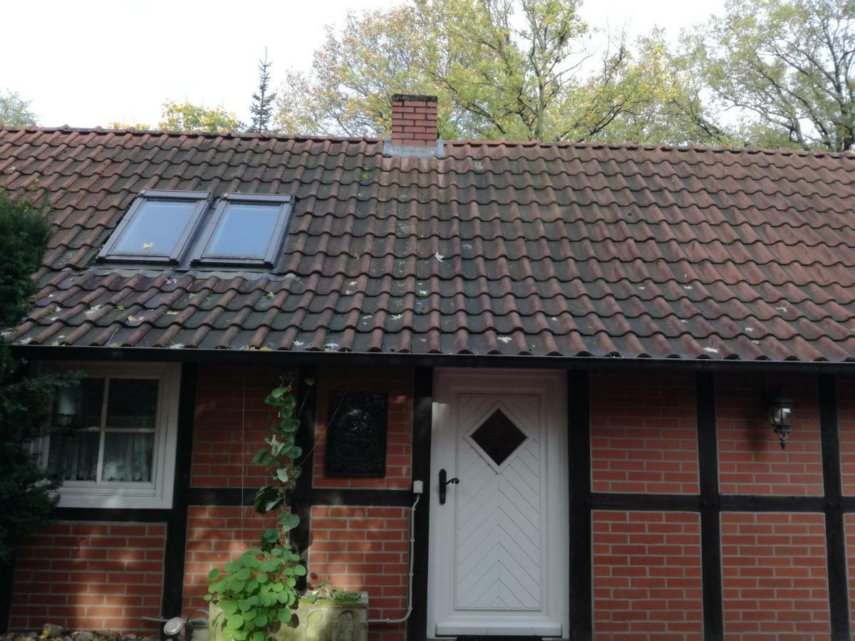 Ferienhaus In Rumke Bippen Exterior photo